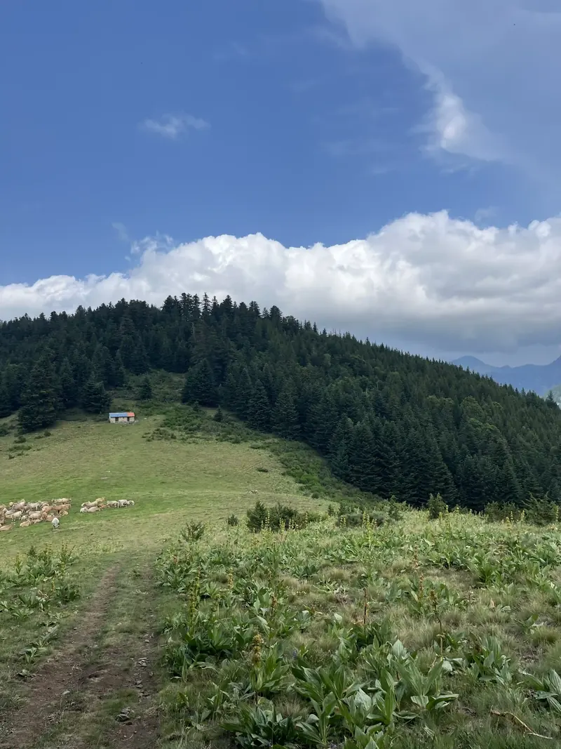 De Ax à Mérens par le Col de Joux