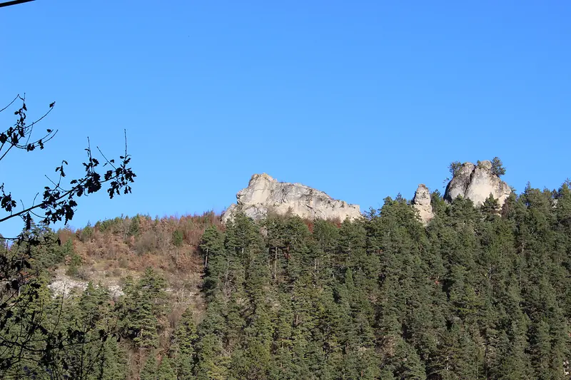 Le Lion de Balsièges