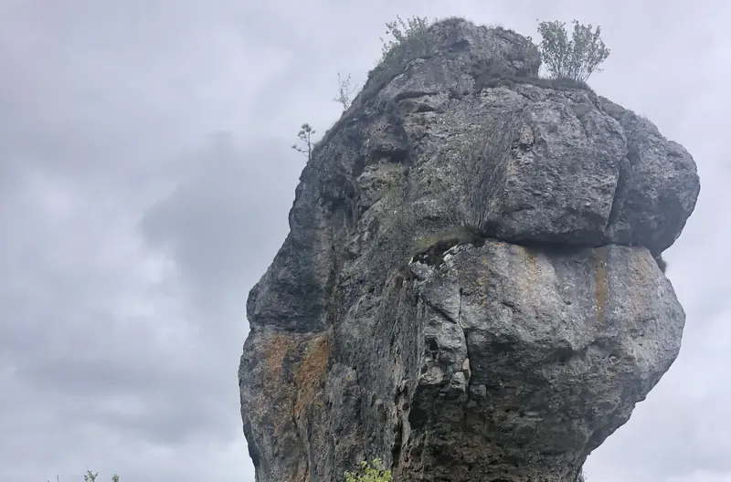 Lion de Balsièges