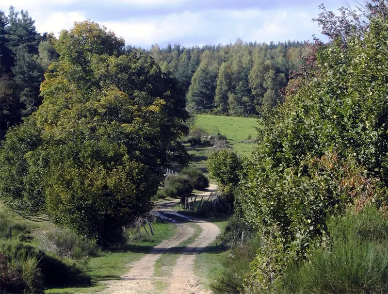 Les pistes de Margeride