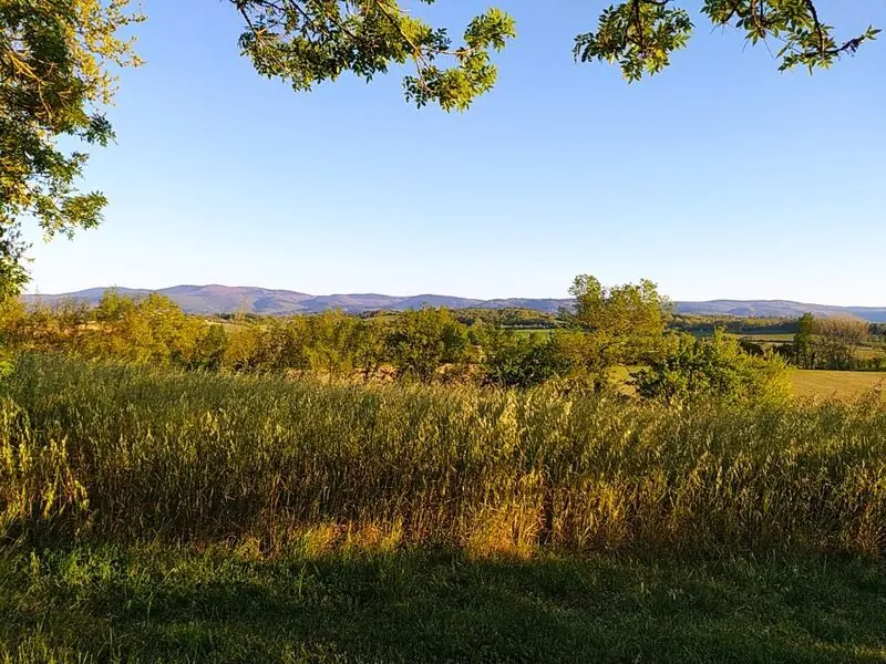Paysage