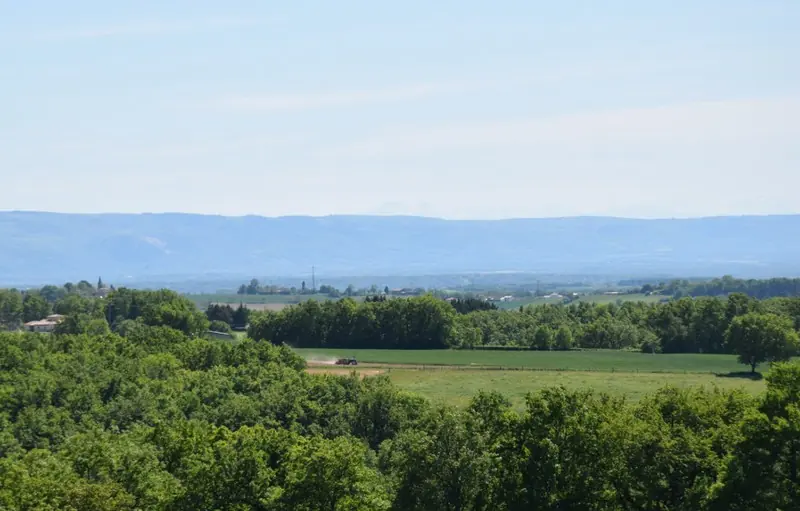 Randonnée des Puechs, sur les traces de Toulouse-Lautrec