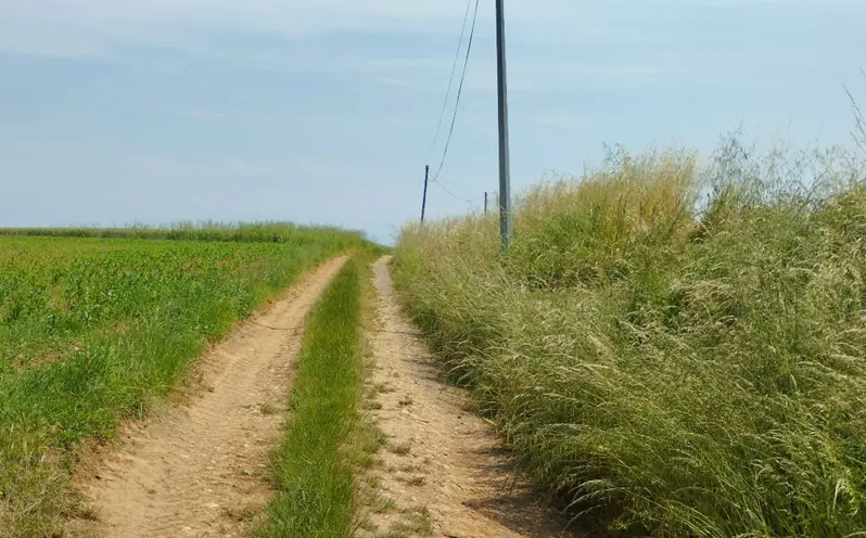 Sentier des 3 ruisseaux