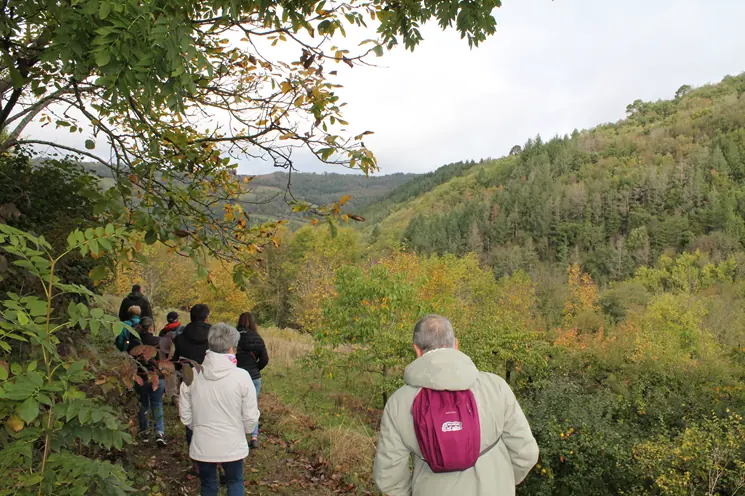 Sentier des vignes et des vergers
