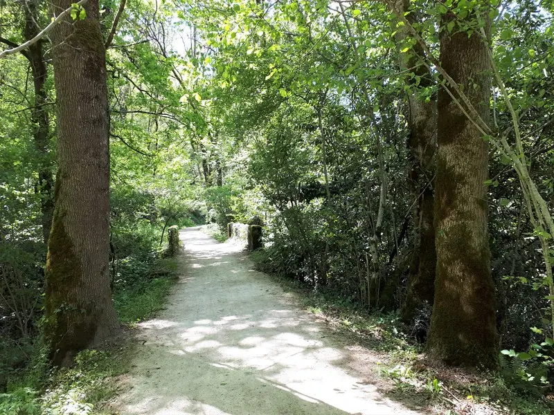 Le chemin des fontaines