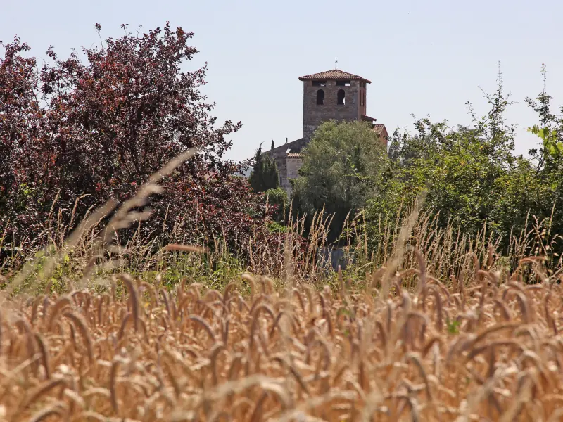 Les chemins de la plaine