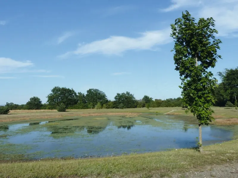 Sentier des demoiselles