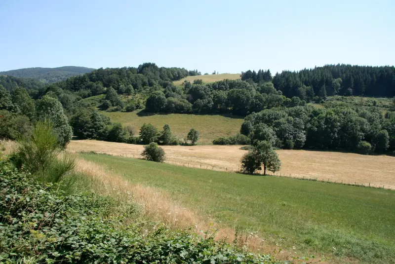 Fenêtre sur la nature