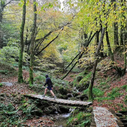 Les passerelles du sentier du Wibault