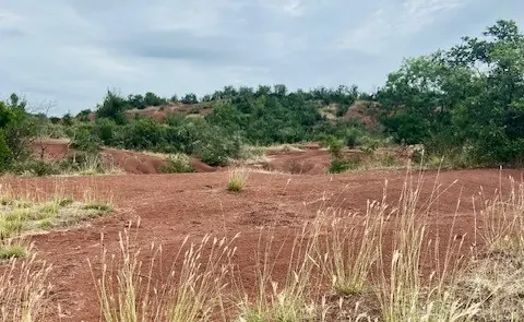 Dunes de Maraval