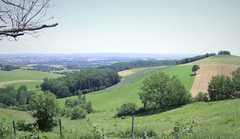 Paysage