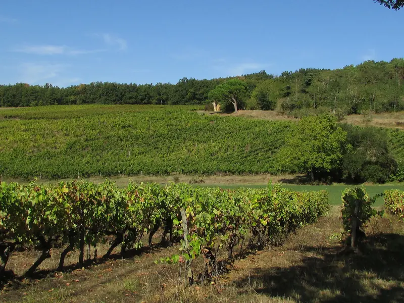 Les coteaux de Lisle