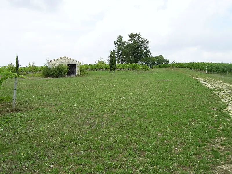 Cabane de vigne