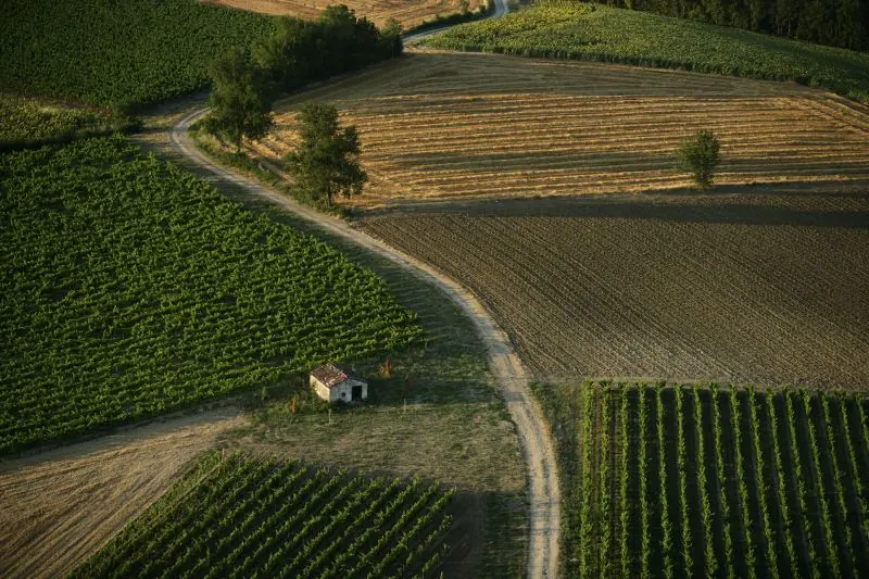 Vignoble et châteaux