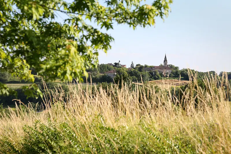 Paysage sur les champs autour de Villeneuve-sur-Vère