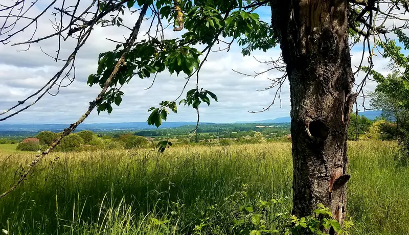 Paysage