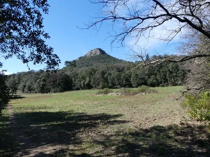 Les Capelans