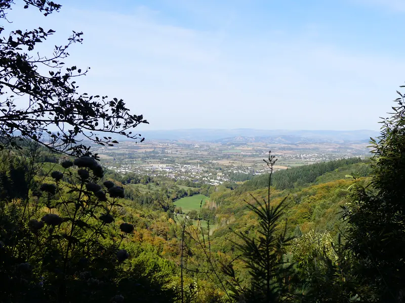 Panorama forêt des Palanges