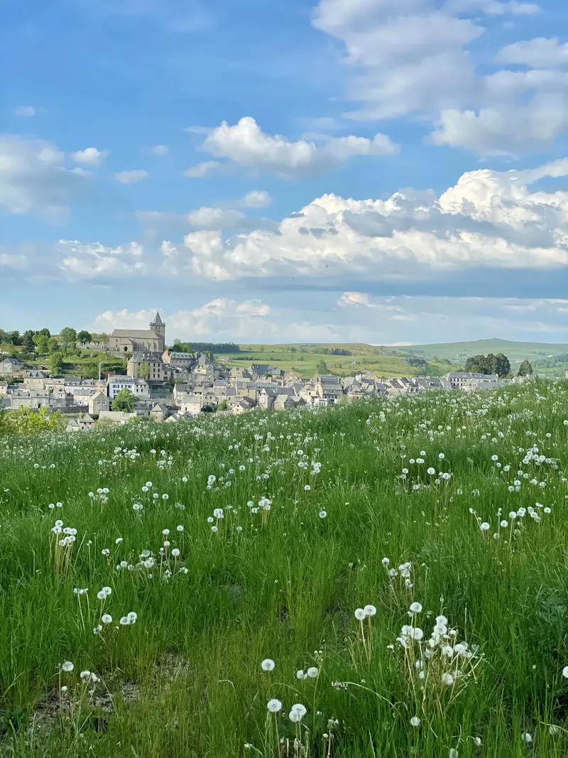 Vue sur Laguiole depuis le Puech