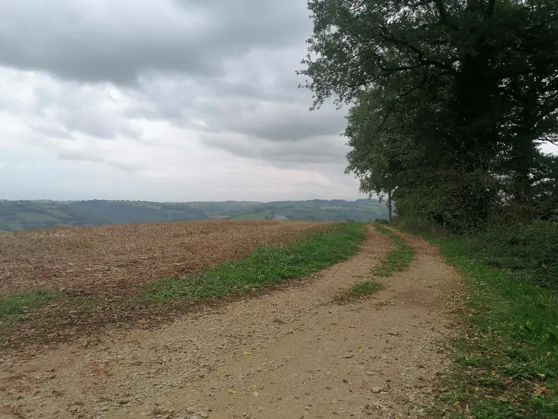 Le chemin des deux tilleuls
