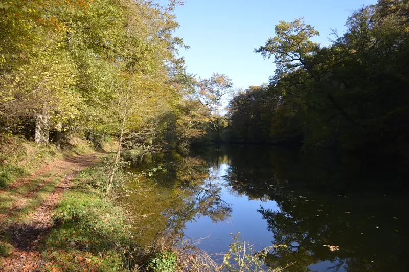 Etang du Roudillou