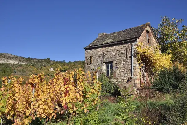 cabane-de-vigne-dans-le-vallon-de-marcillac-1
