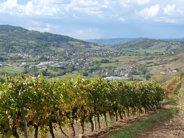 Vue depuis le parcours trail dans les vignes au dessus de Saint-Christophe