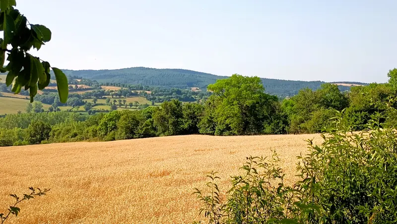 Les Palanges depuis Gages