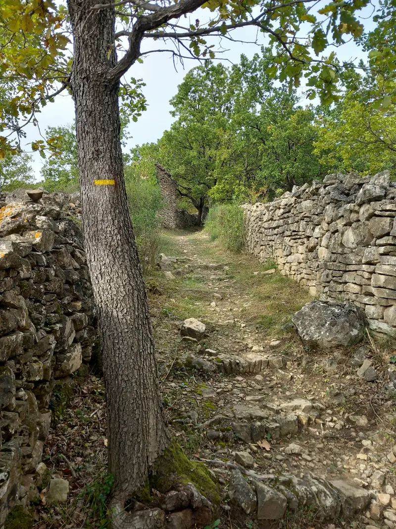 Calade