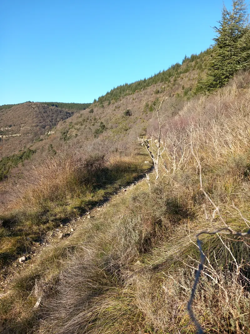 TRAIL N°40 - Le plateau du Grézac
