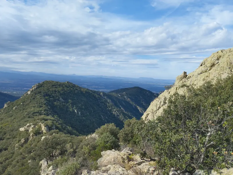 Entre le Roc de les Medes et ND du Château