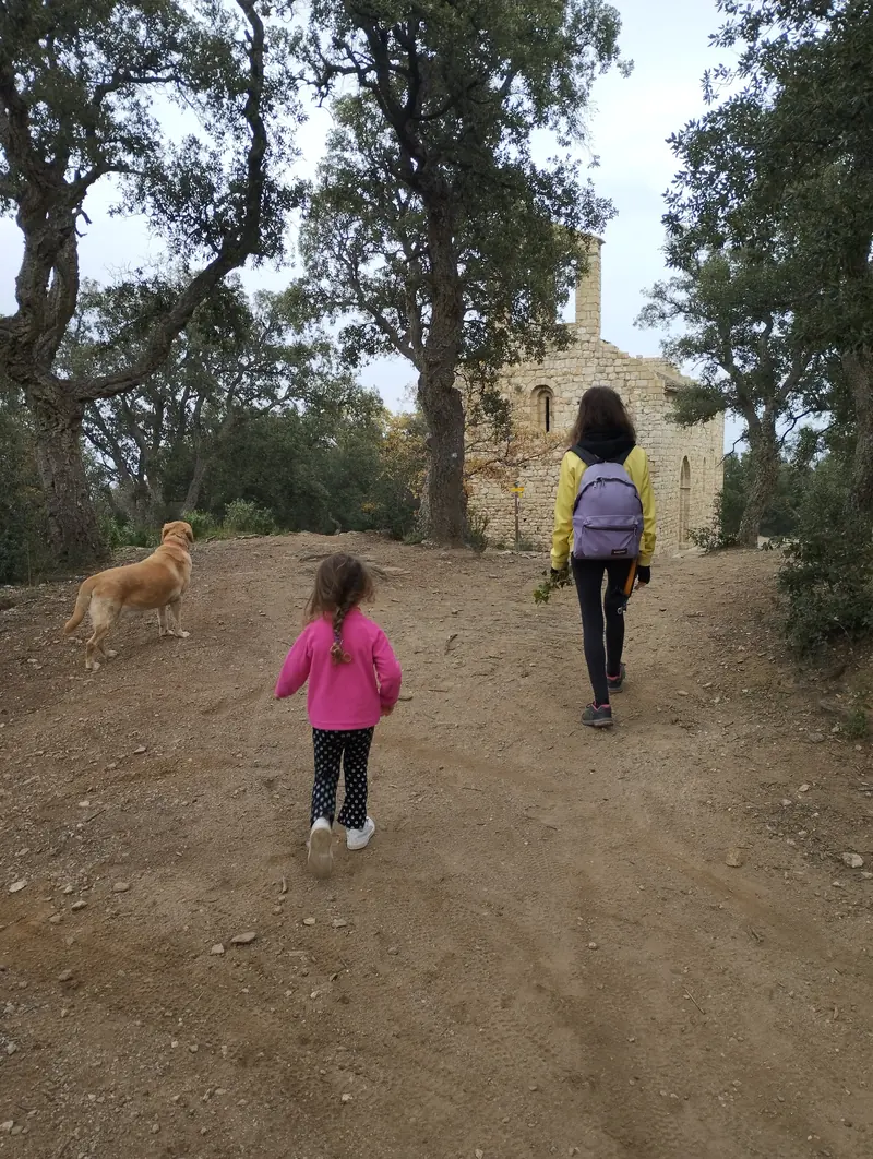 rando maquis