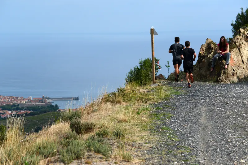 10-trail15-OT COLLIOURE 2016 - Hugues Argence
