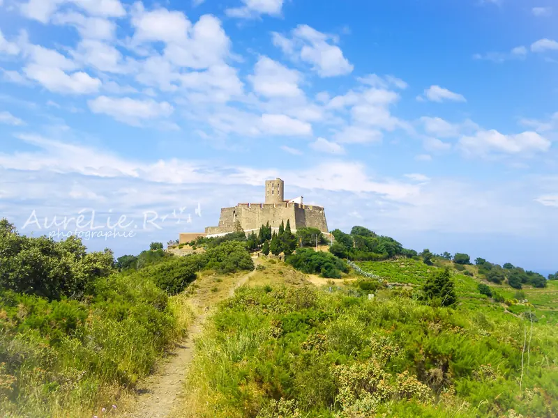 st elme
