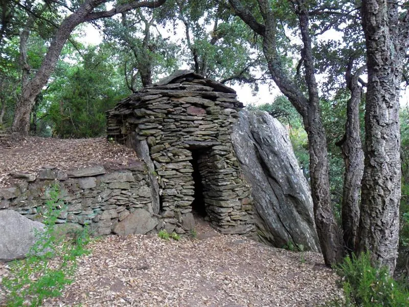 Cabane